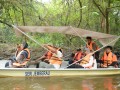 Tn PPTC 313